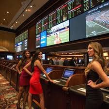 7bet casino